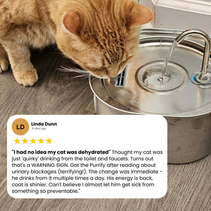 Protect your pet from dehydration and urinary emergencies with EverPaws™️