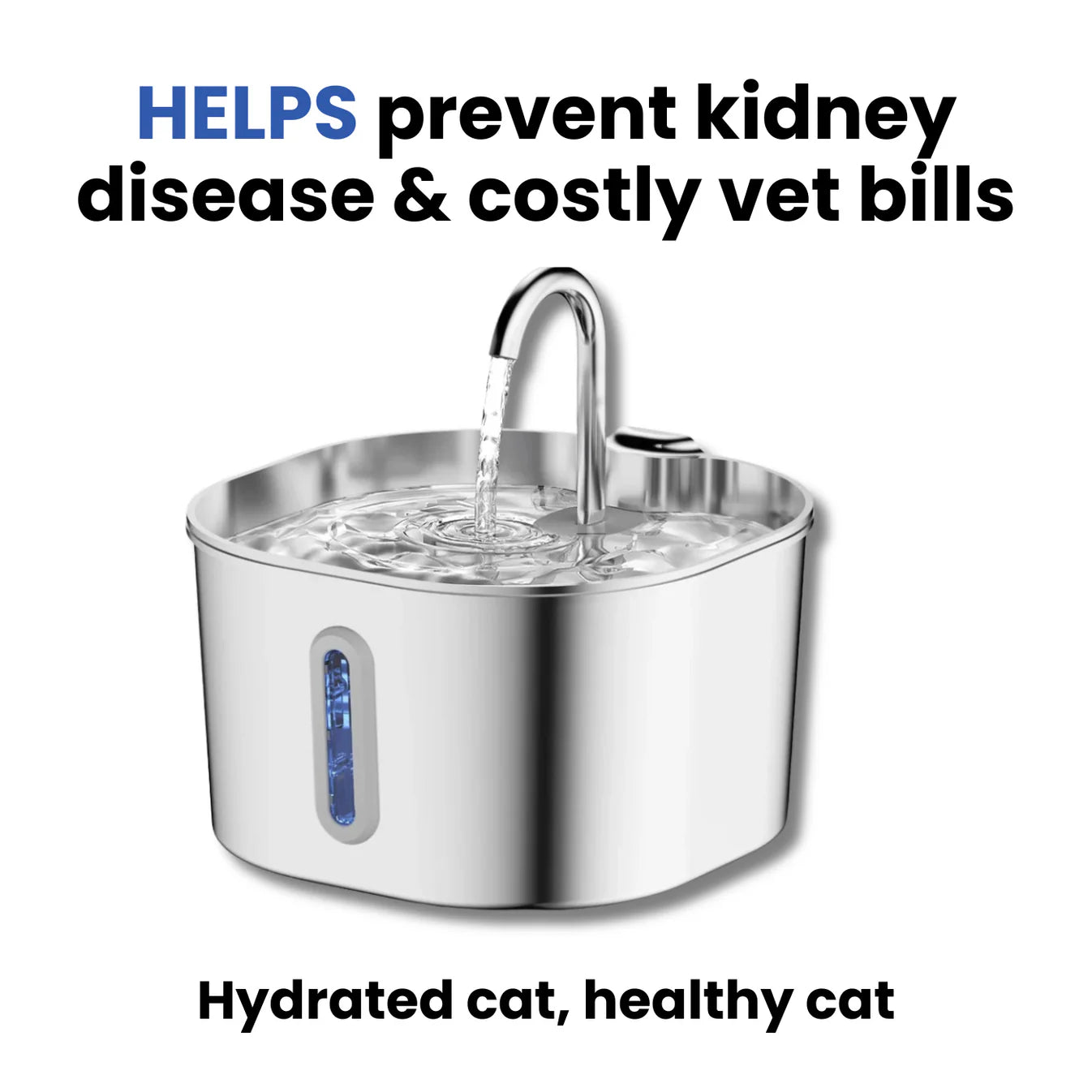 Protect your pet from dehydration and urinary emergencies with EverPaws™️
